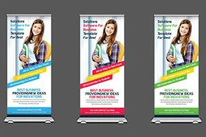 PET Flex Banner Roll for Advertising Board PET Flex Banner Roll for Advertising Board